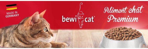 Bewi Cat
